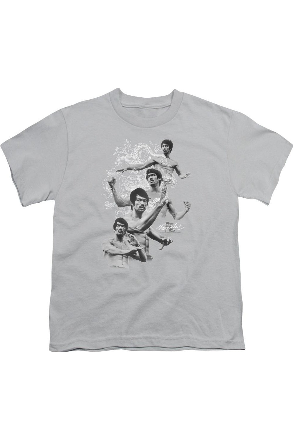 

Футболка с коротким рукавом для детей Bruce Lee In Motion Gildan, серебряный