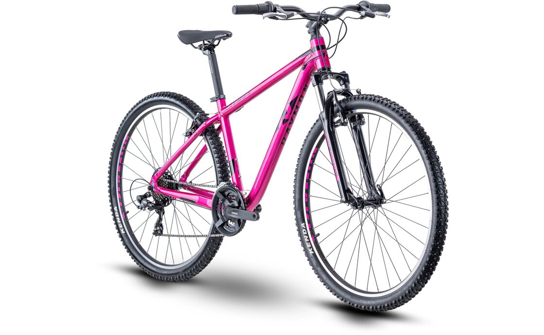 

Горный велосипед Raymon NineRay 1.0 - 29 дюймов - Diamant - 2024, цвет Pink|pink/black, Черный, Горный велосипед Raymon NineRay 1.0 - 29 дюймов - Diamant - 2024, цвет Pink|pink/black