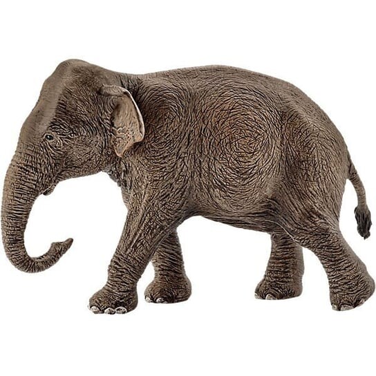 

Schleich, статуэтка Азиатский слон, Коричневый, Schleich, статуэтка Азиатский слон