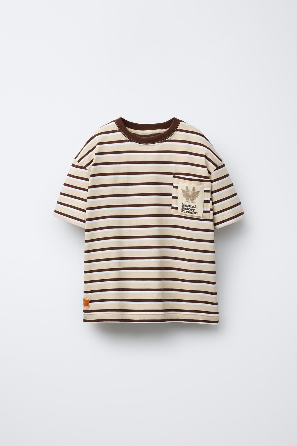 

Полосатая футболка с карманом, музей естественной истории, лондон ZARA, цвет striped