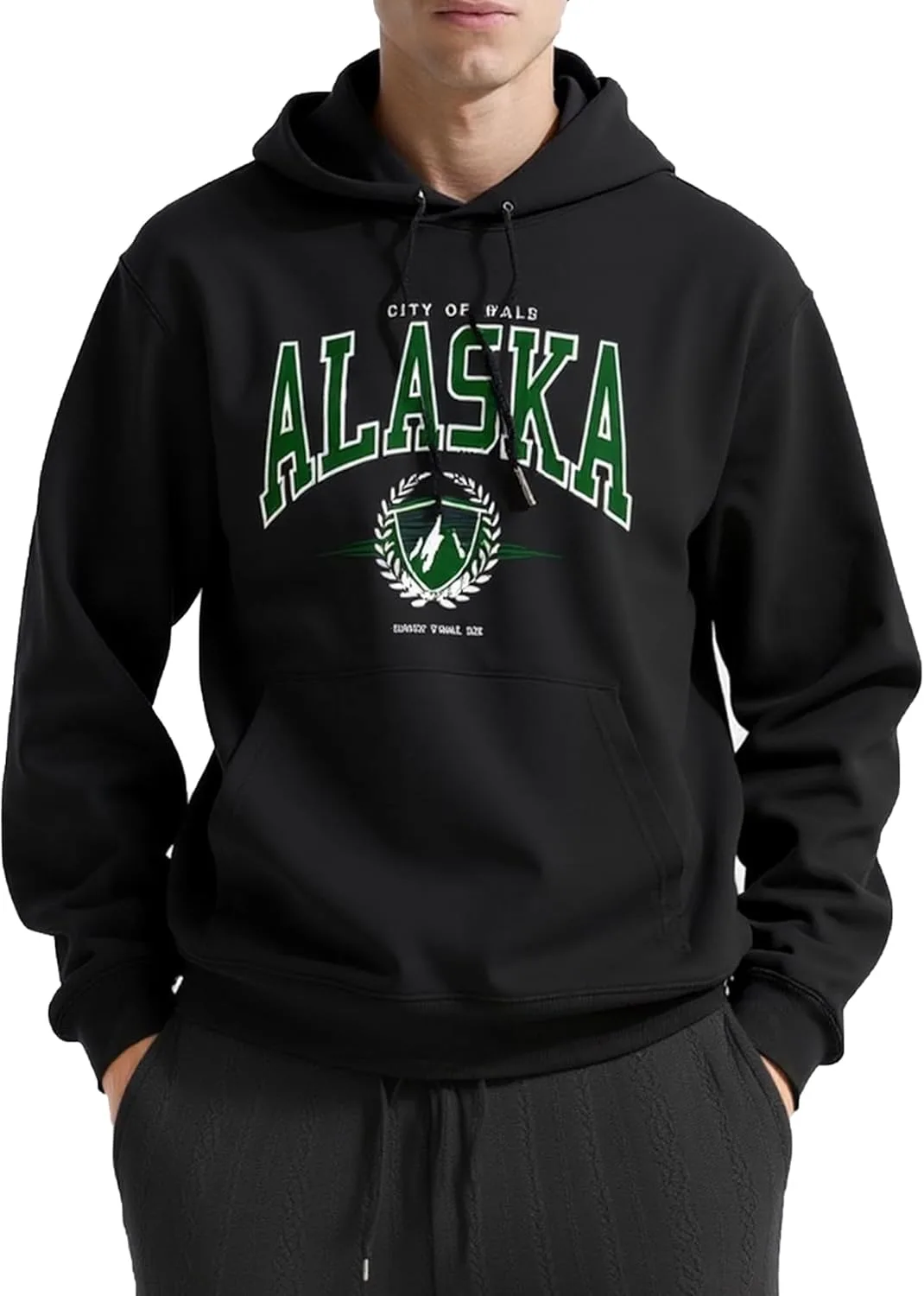 

ZAFUL мужской худи с вышивкой и контрастной окантовкой, цвета coffee black white green ZAFUL SPORTS