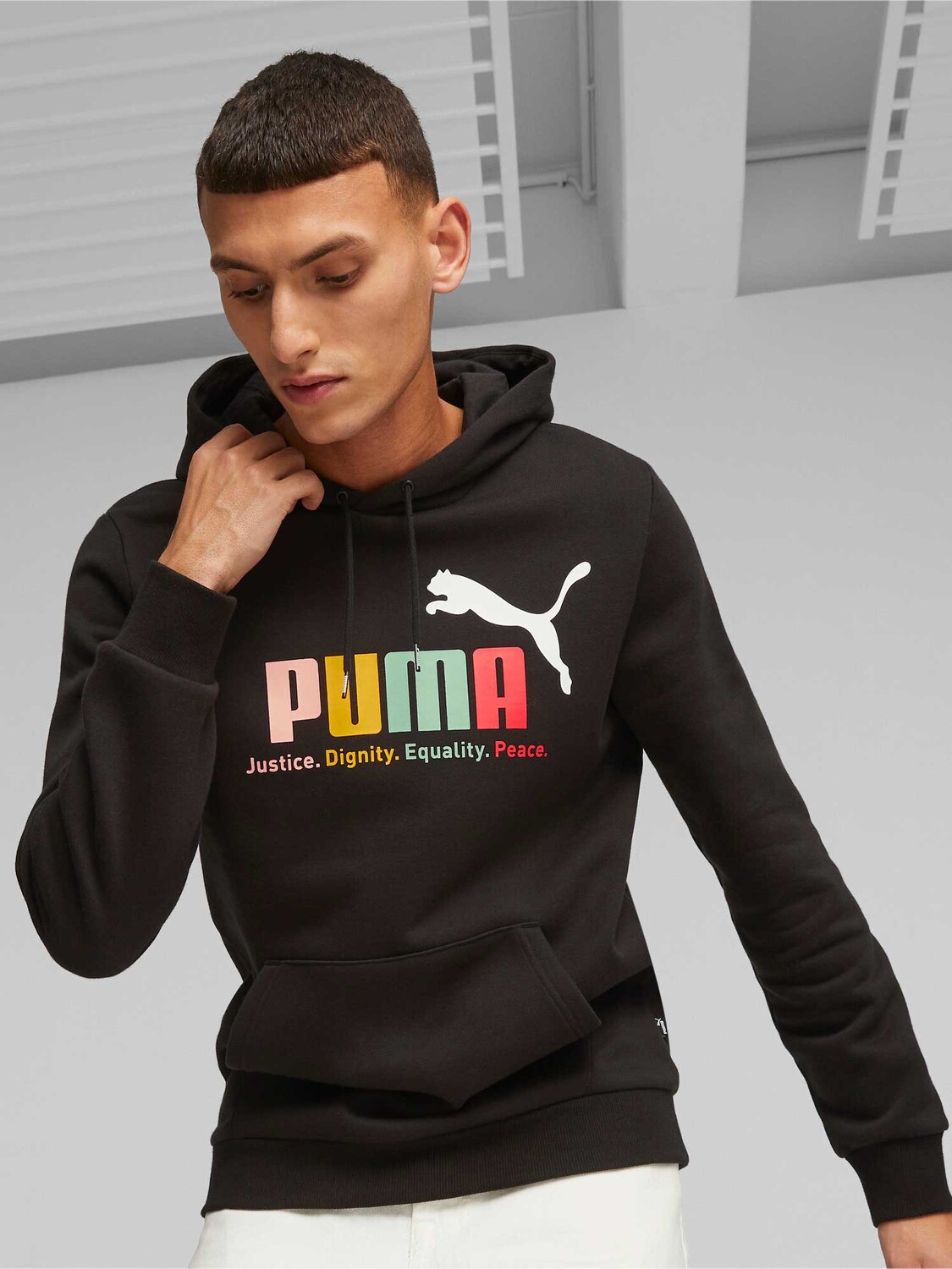 

Толстовка Puma ESS+ Multicolor Hoodie FL, черный