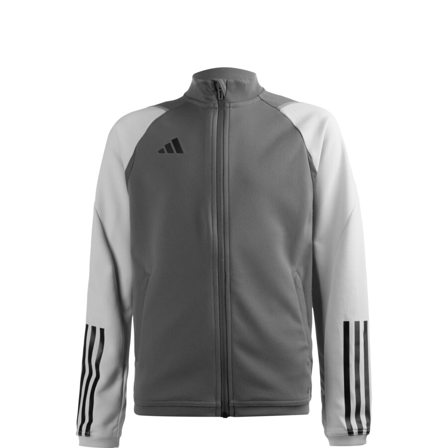 

Спортивная куртка ADIDAS PERFORMANCE Athletic Tiro 23 Competition, цвет Light grey/Dark grey