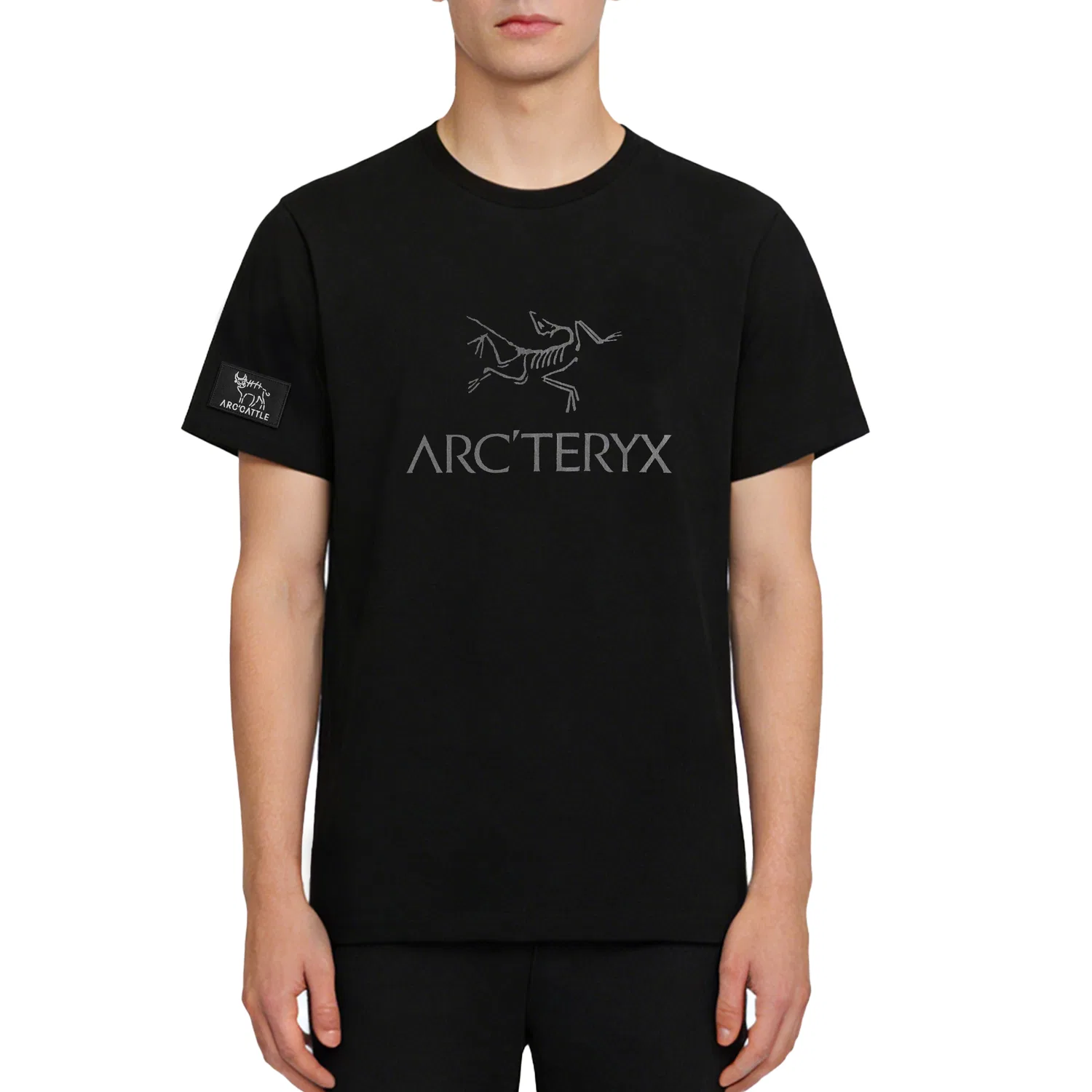 Футболка с логотипом Arcteryx IONIA Men's Black — фото 4