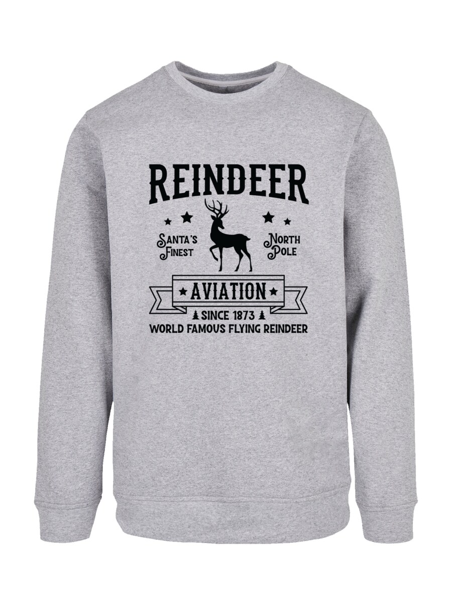 

Толстовка F4NT4STIC Reindeer Aviation Retro, Mottled Grey