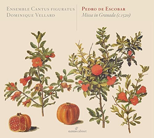 

CD диск Escobar / Ensemble Cantus Figuratus / Vellard: Missa in Granada C. 1520