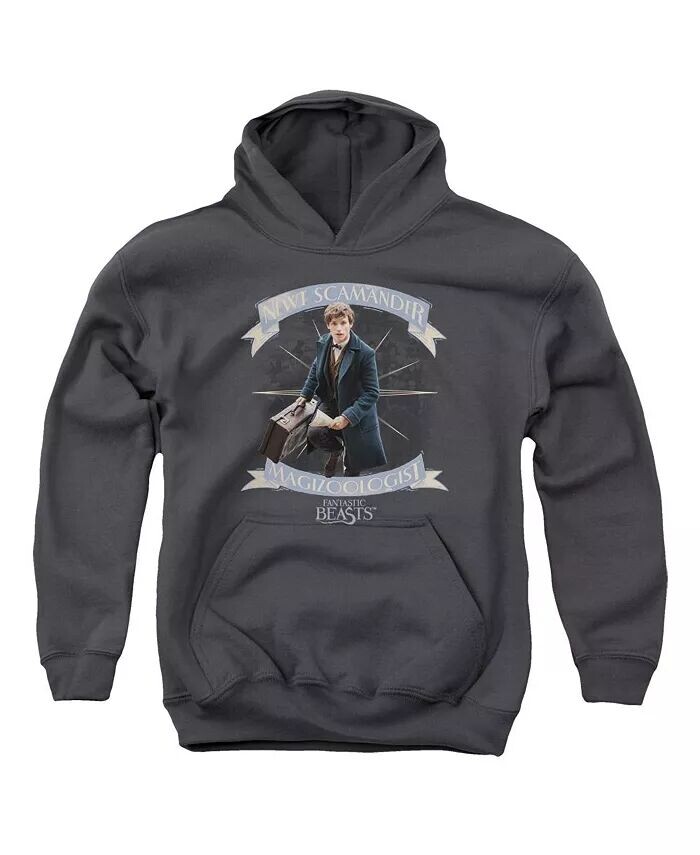 

Молодежная толстовка с капюшоном Newt Scamander Fantastic Beasts, серый