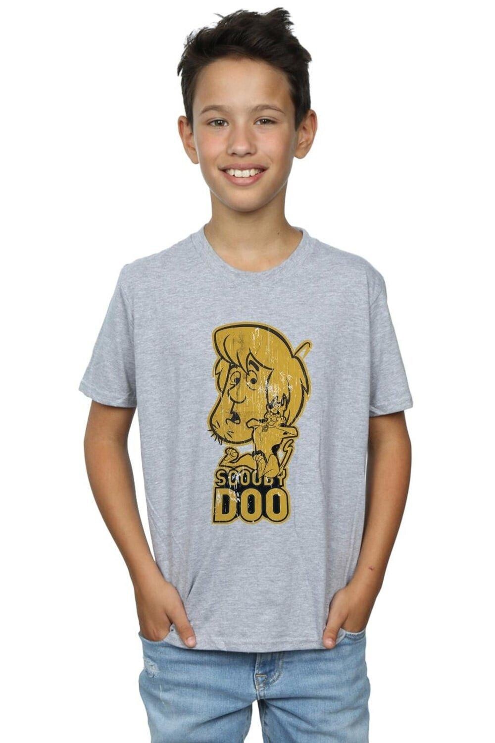 

И лохматая футболка Scooby Doo, серый