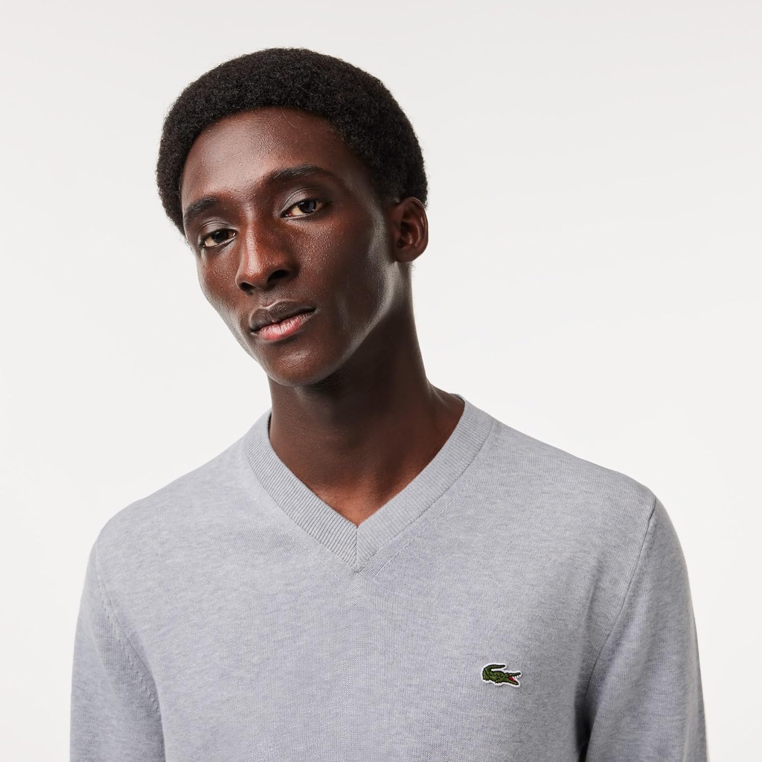 Lacoste мужской свитер с длинным рукавом, прямой крой, V-образный вырез, из органического хлопка, Silver Chine — фото 4