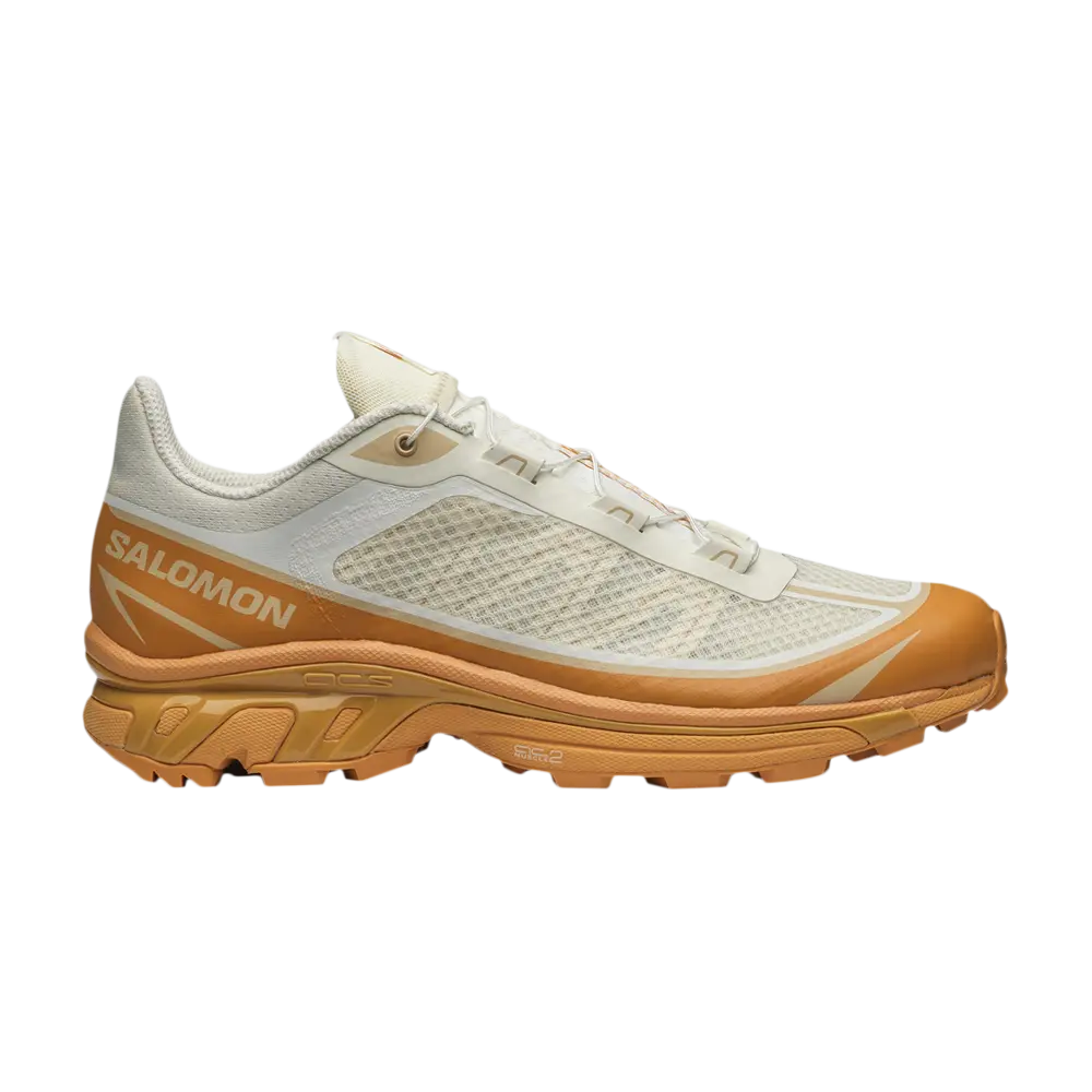 Кроссовки XT-6 FT Salomon, желто-коричневый
