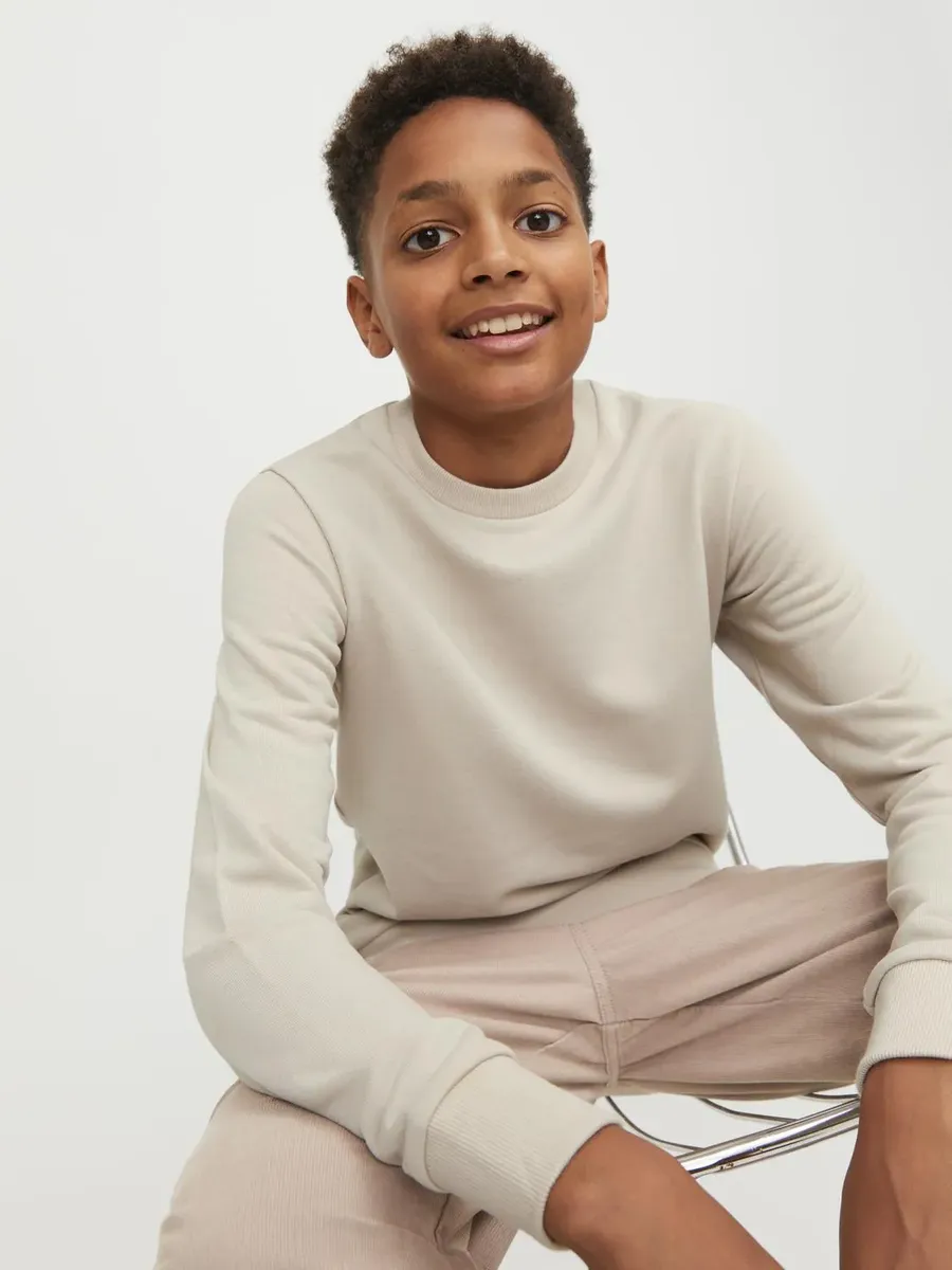 Толстовка Jack & Jones Junior "JJEBRADLEY SWEAT CREW NOOS JNR", цвет Moonbeam — фото 3