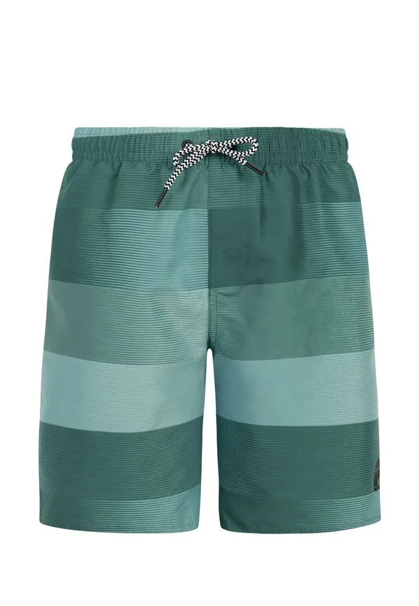 Плавки джеймс Protest, Dark Teal