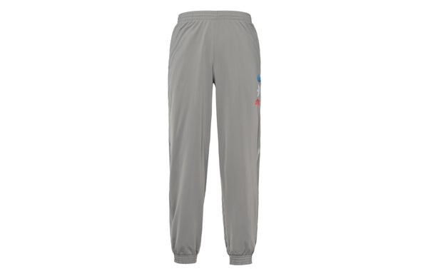 Спортивные штаны adidas originals Metallic Track Pants Logo Sports Pants Gray, серый — фото 2