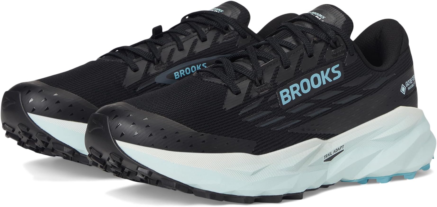 Кроссовки Brooks Cascadia 19 GTX, цвет Black/Ebony/Blue Flower
