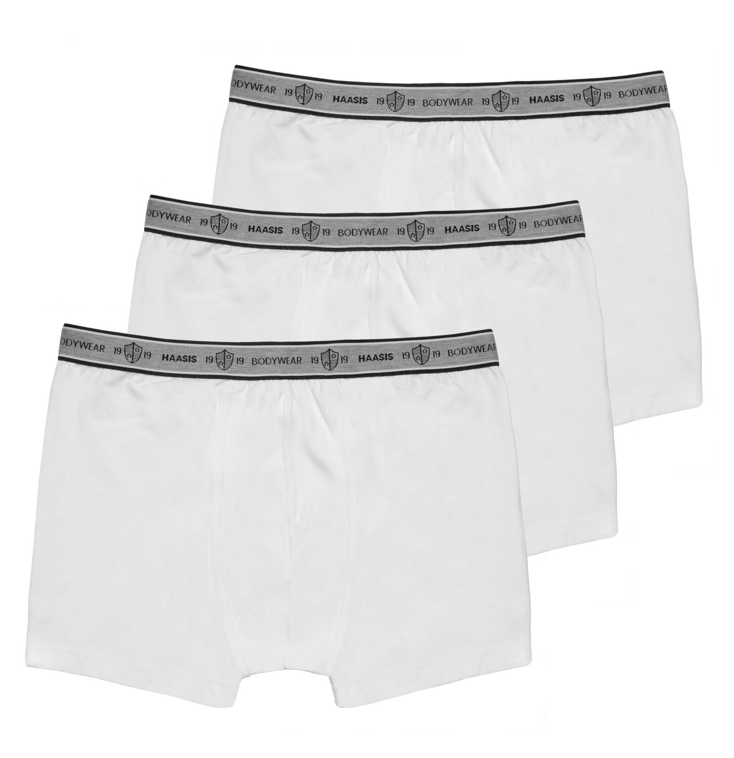 

Боксеры Haasis Bodywear 3er-Set: Pants, белый