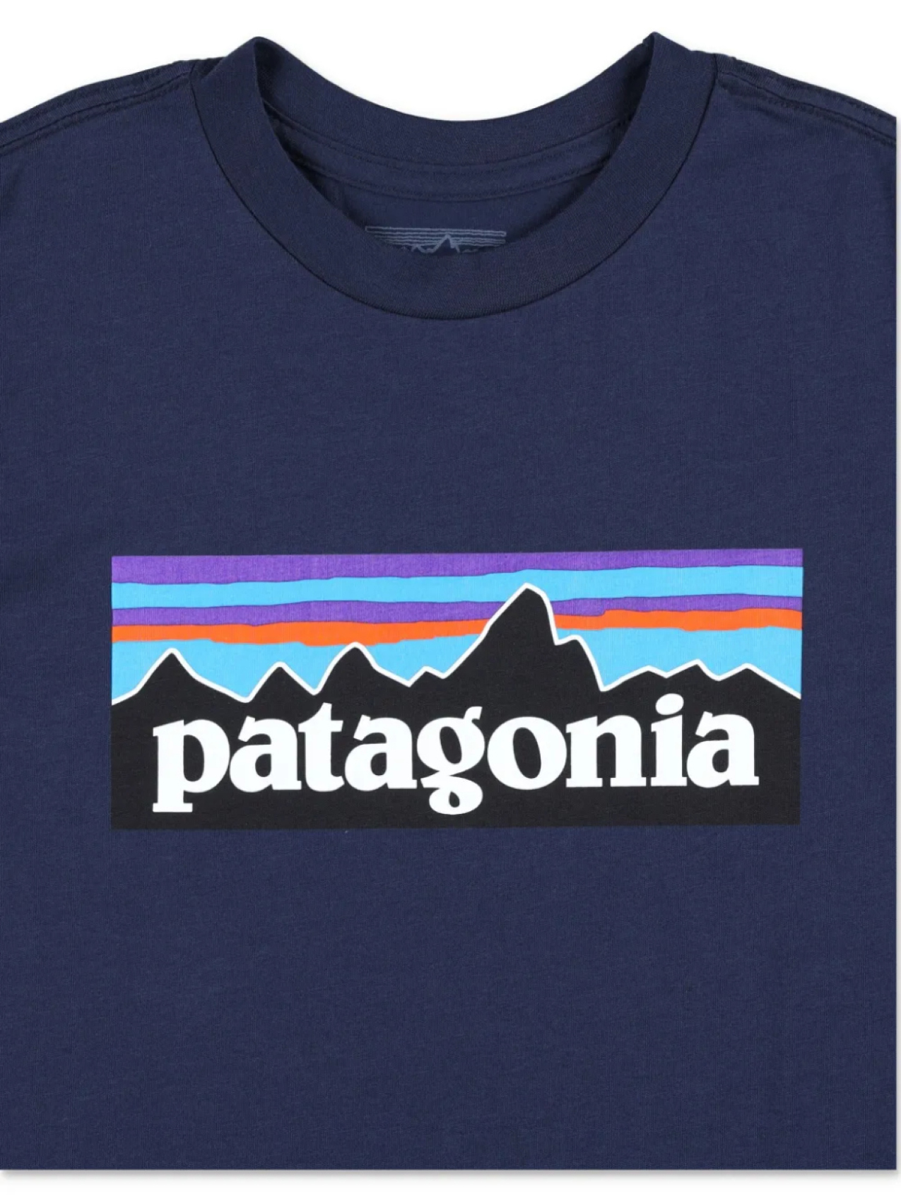 Футболка с графическим логотипом Patagonia Kids, синий — фото 3