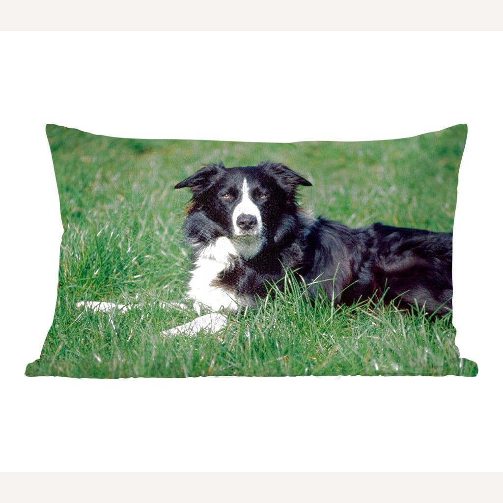 

MuchoWow Border Collie - Бордер-колли лежит в высокой зеленой траве - 50x30 см - чехлы на диванные подушки - без наполнителя