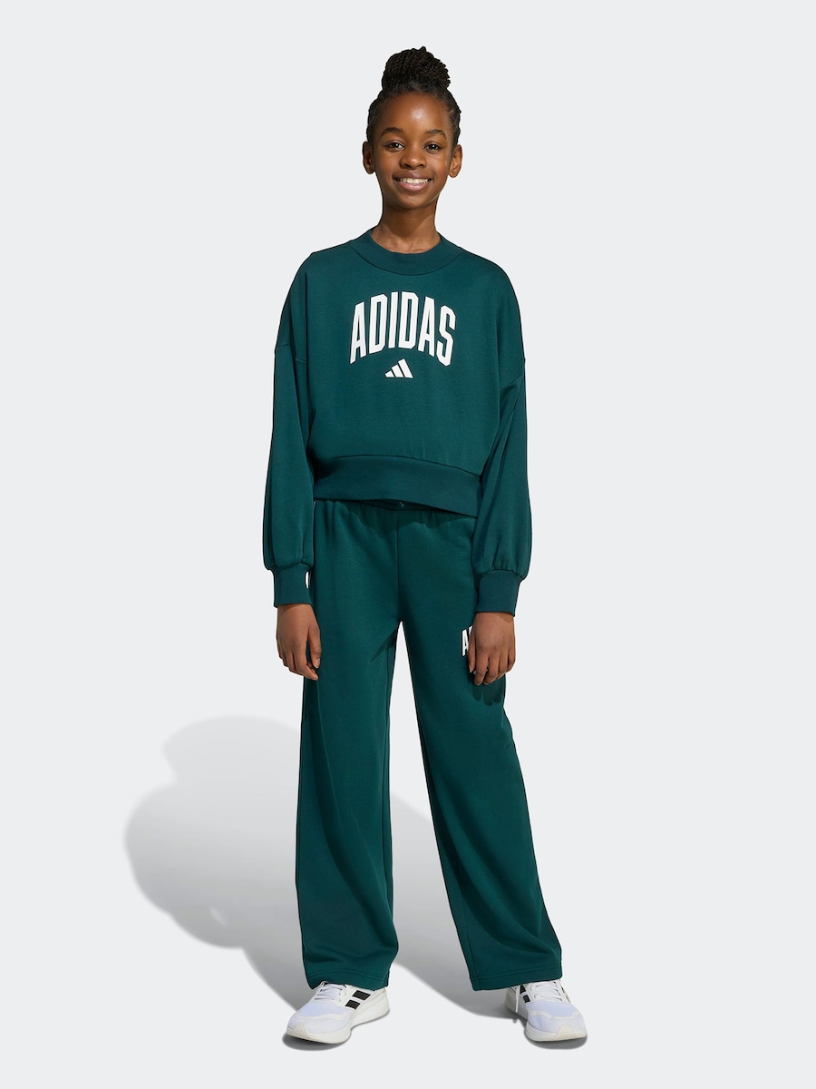 Обычные спортивные штаны ADIDAS SPORTSWEAR, темно-зеленый — фото 2