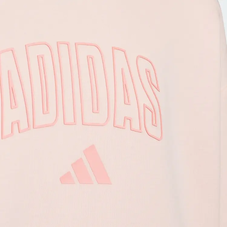 Adidas Свитшот Ice Crystal Pink для детей 3-7 лет — фото 4