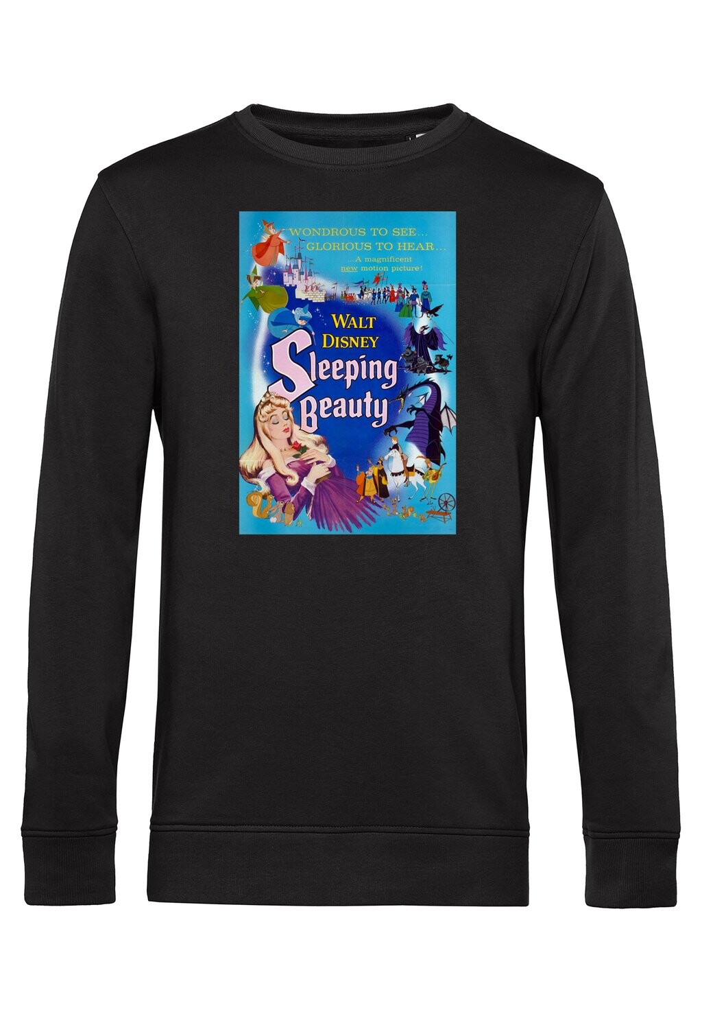

Толстовка BLUE SLEEPING BEAUTY POSTER Disney, черный