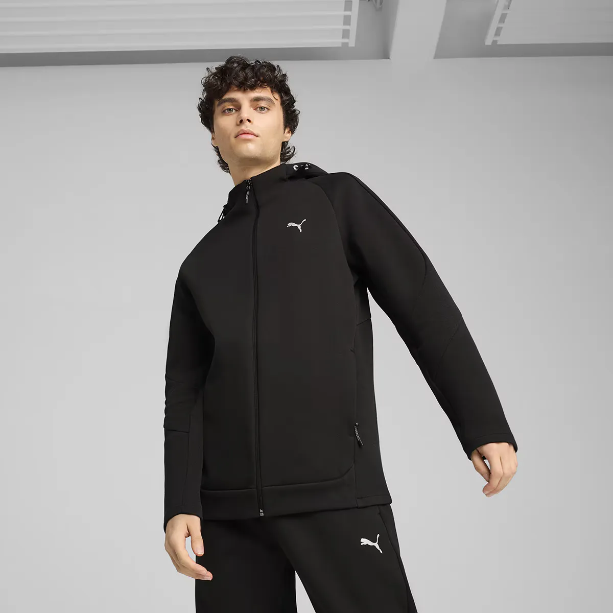 

Мужская толстовка с капюшоном Evostripe на молнии DK Puma Sweatsty, чёрный