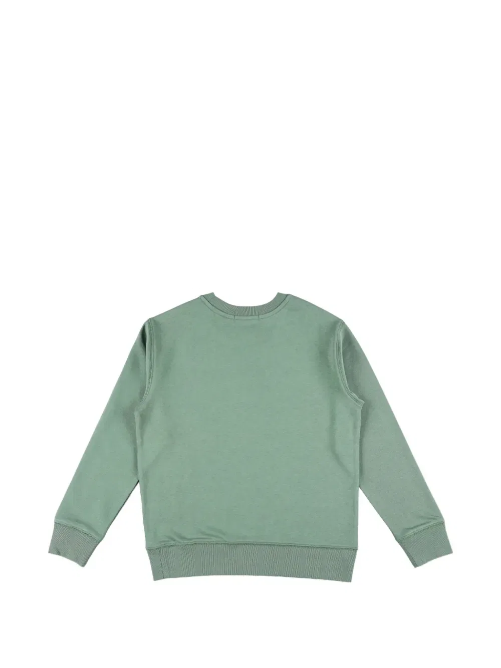 Толстовка с изображением пони Polo Ralph Lauren Kids, зеленый — фото 2