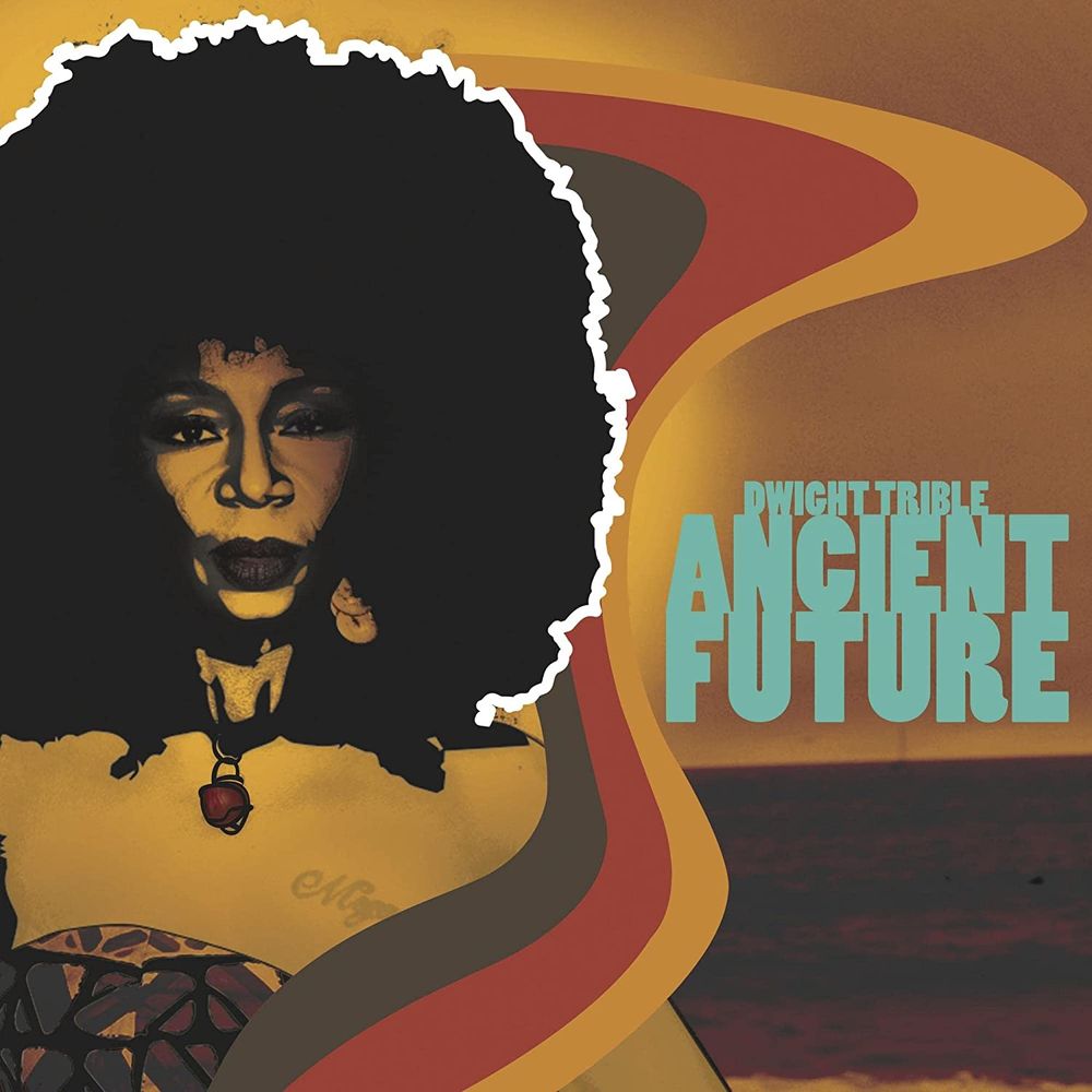 

Диск CD Ancient Future - Dwight Trible