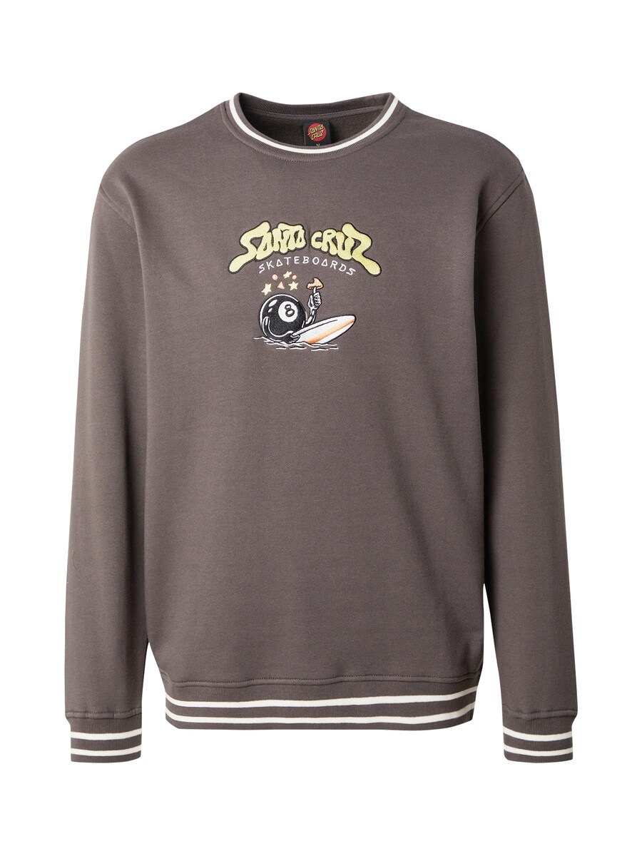 

Толстовка Santa Cruz Winkowski Surf Front, темно-серый