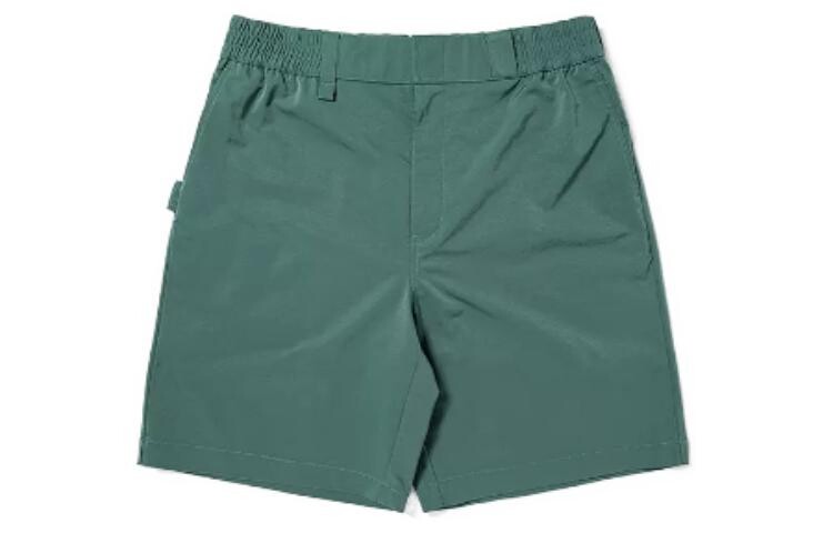 

Шорты-карго мужские Sage Green Dickies, зеленый