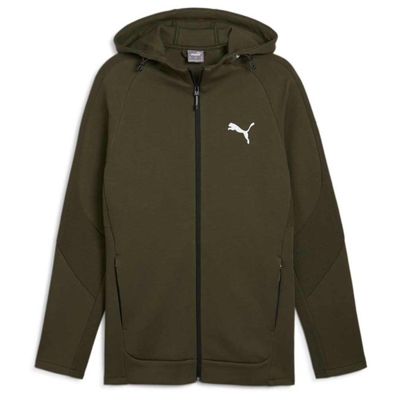 

Мужская толстовка с капюшоном на молнии evostripe dk Puma, зеленый