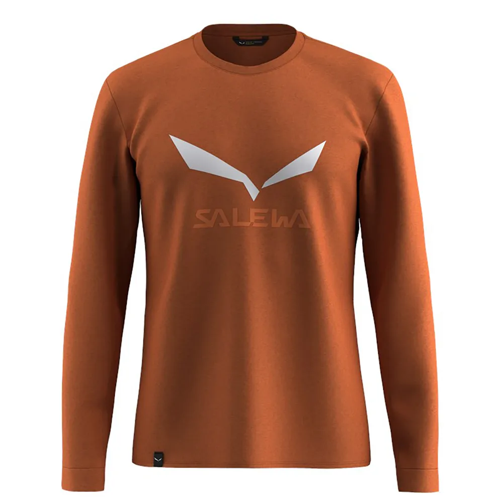 

Лонгслив Salewa Solidlogo Dry, коричневый