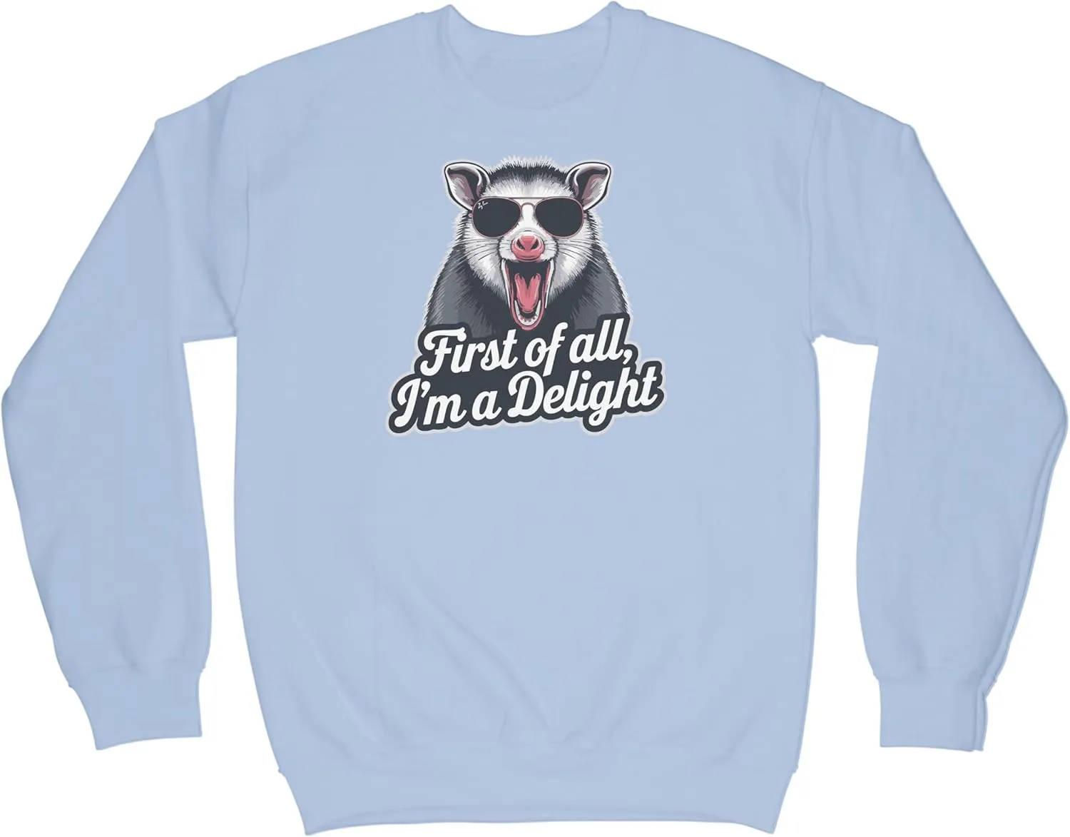 

LIBBY'S BENCHMARK27 DESIGNS First of All Im a Delight Sweatshirt