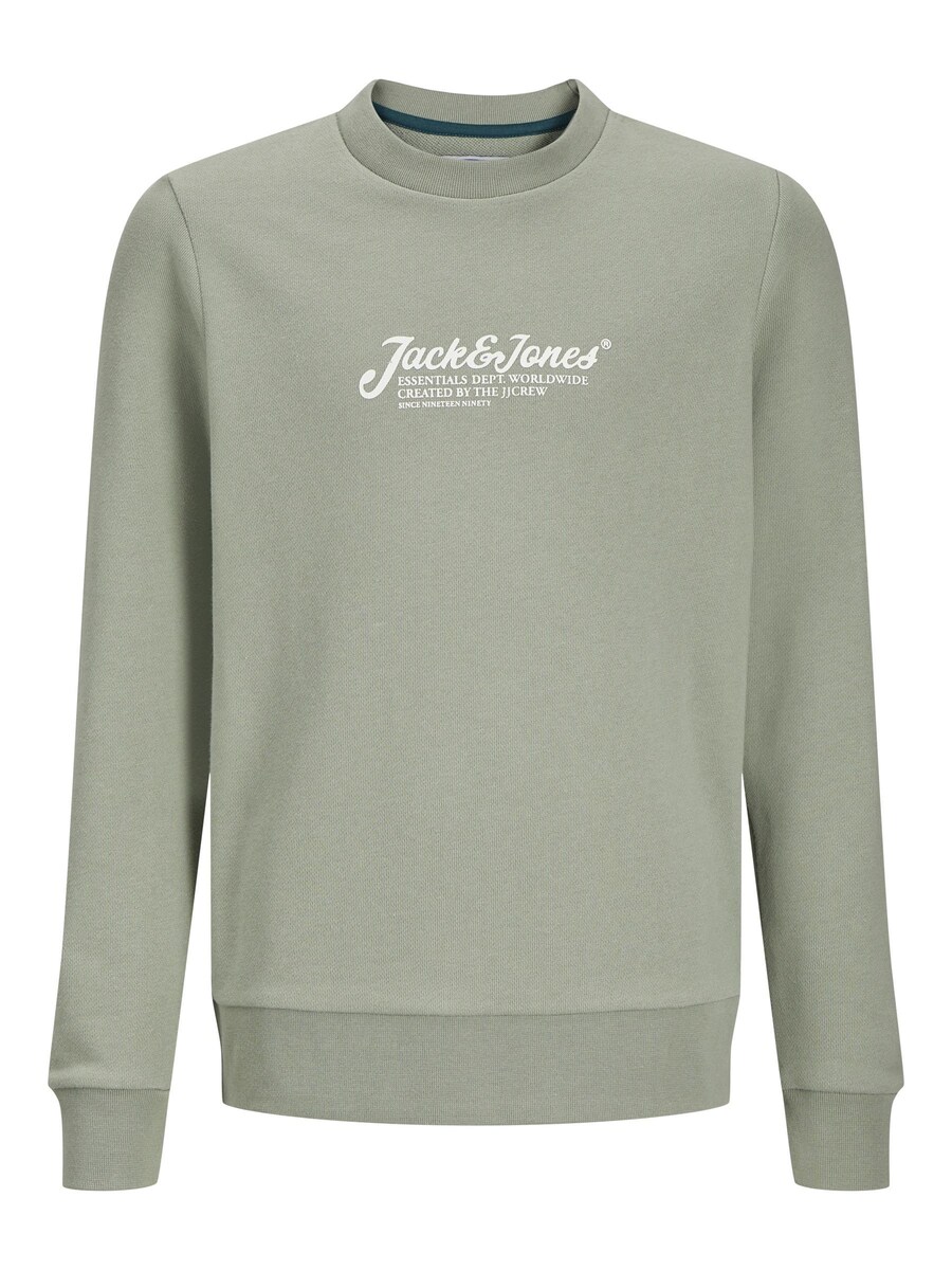 

Толстовка Jack & Jones Plus JJBeau, пастельный зеленый