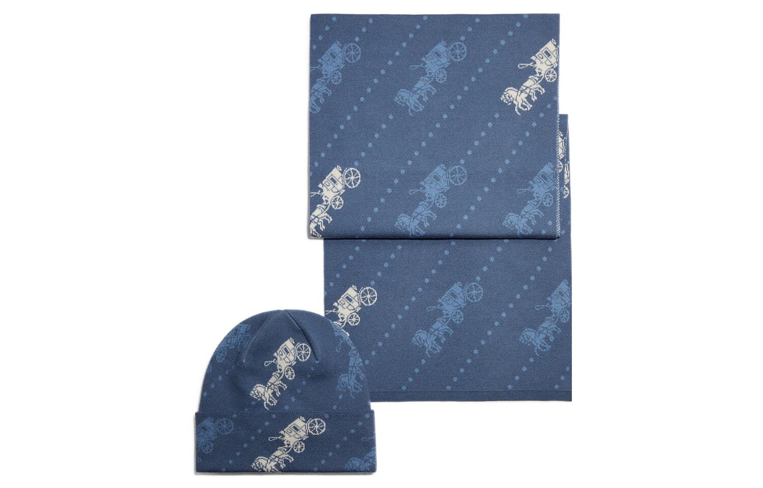 

Мужской вязаный шарф COACH, Dark Blue