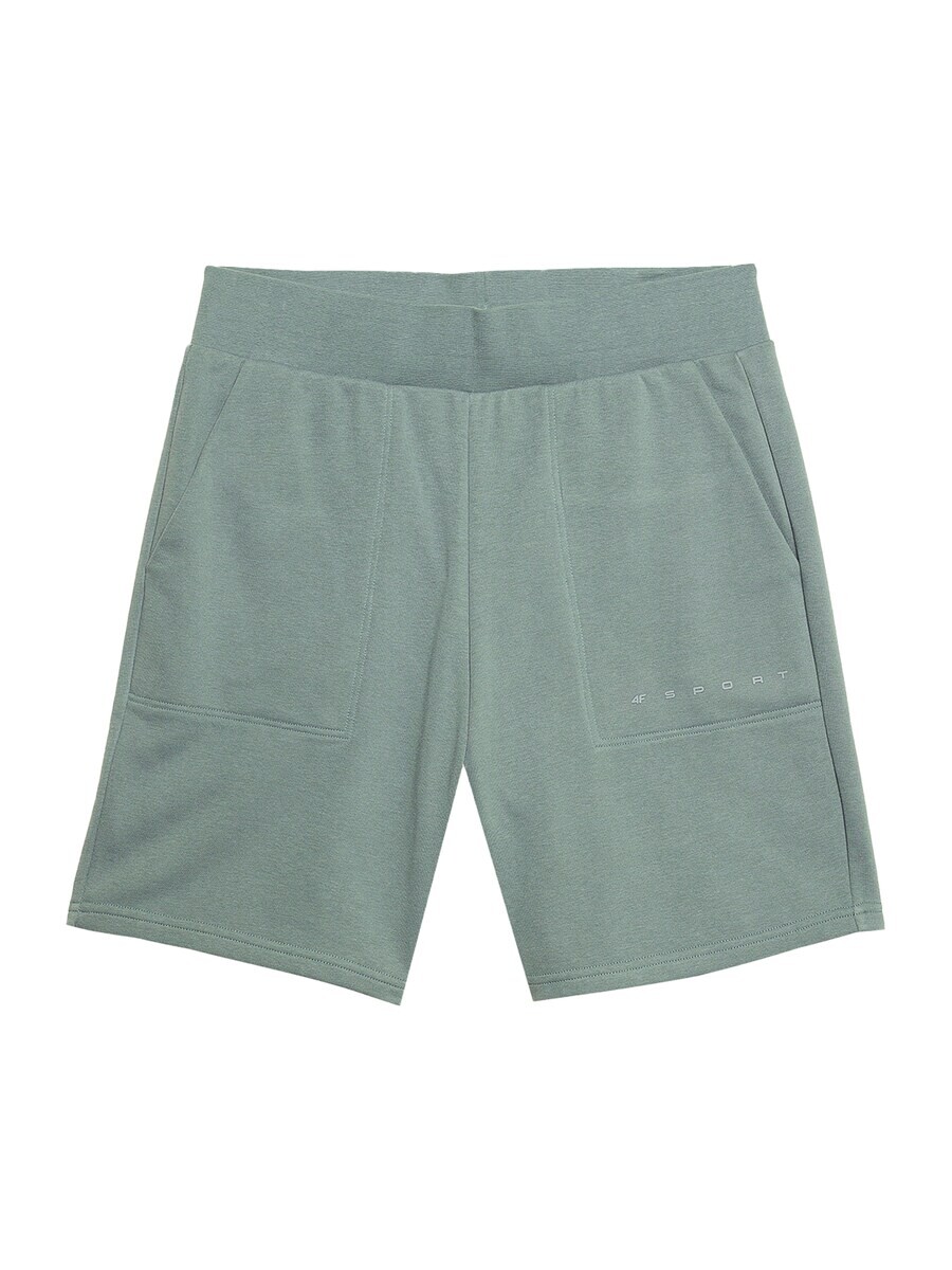 

Шорты 4F Regular Workout Pants, оливковый