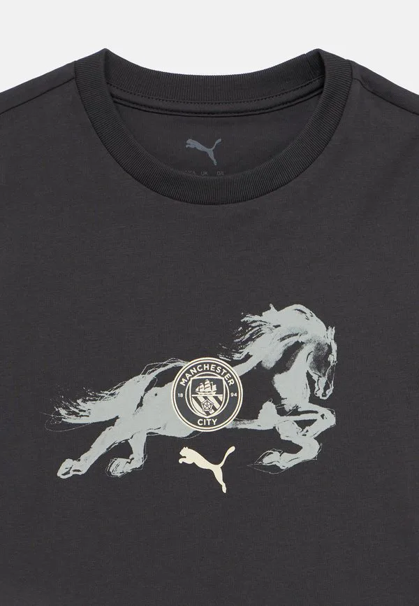 Футболка mcfc унисекс клубная одежда Puma, Dark Grey — фото 3
