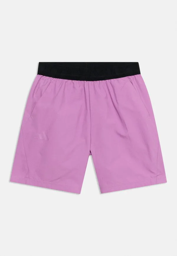 Спортивные шорты Adidas Terrex, Preloved Purple