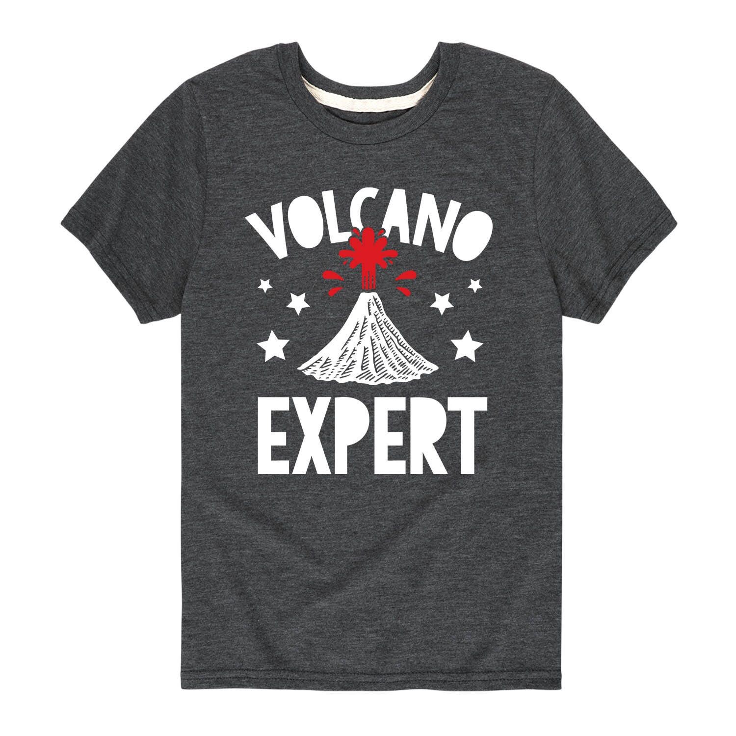 

Футболка Volcano Expert для мальчиков 8–20 лет Licensed Character, синий