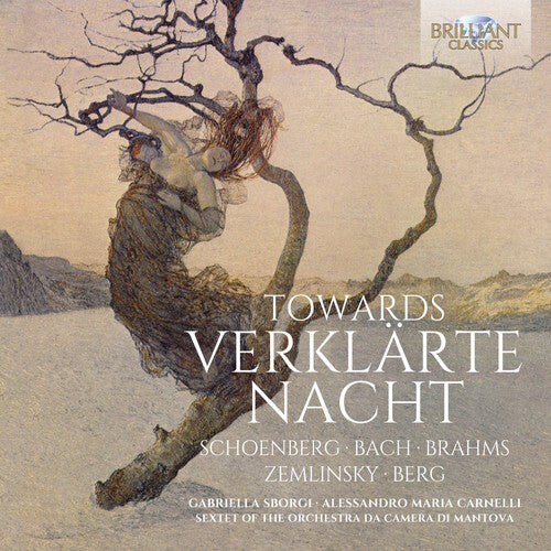 

CD диск Zemlinsky / Sborgi: Towards Verklarte Nacht