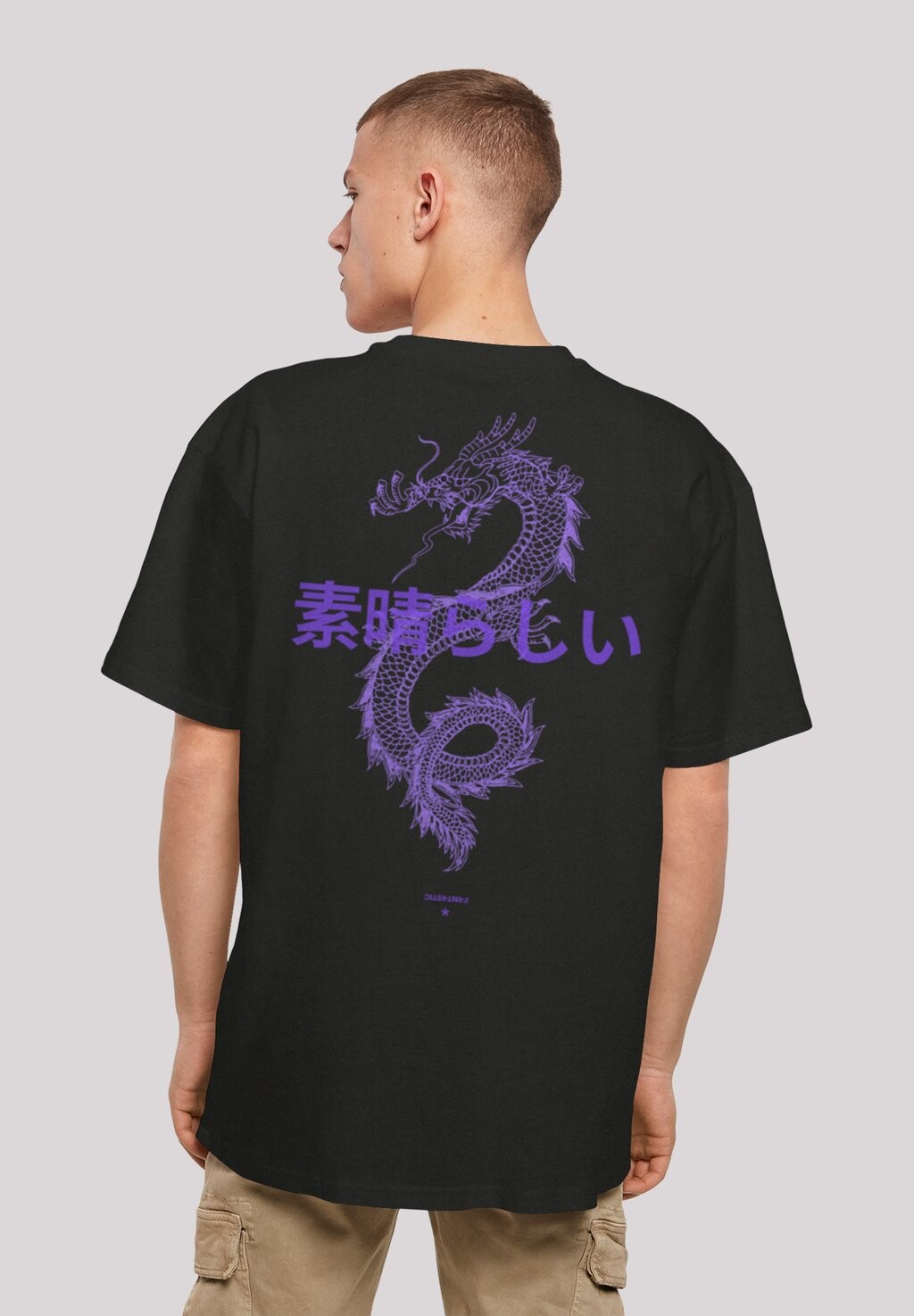 

Футболка с принтом DRACHE F4NT4STIC, цвет schwarz