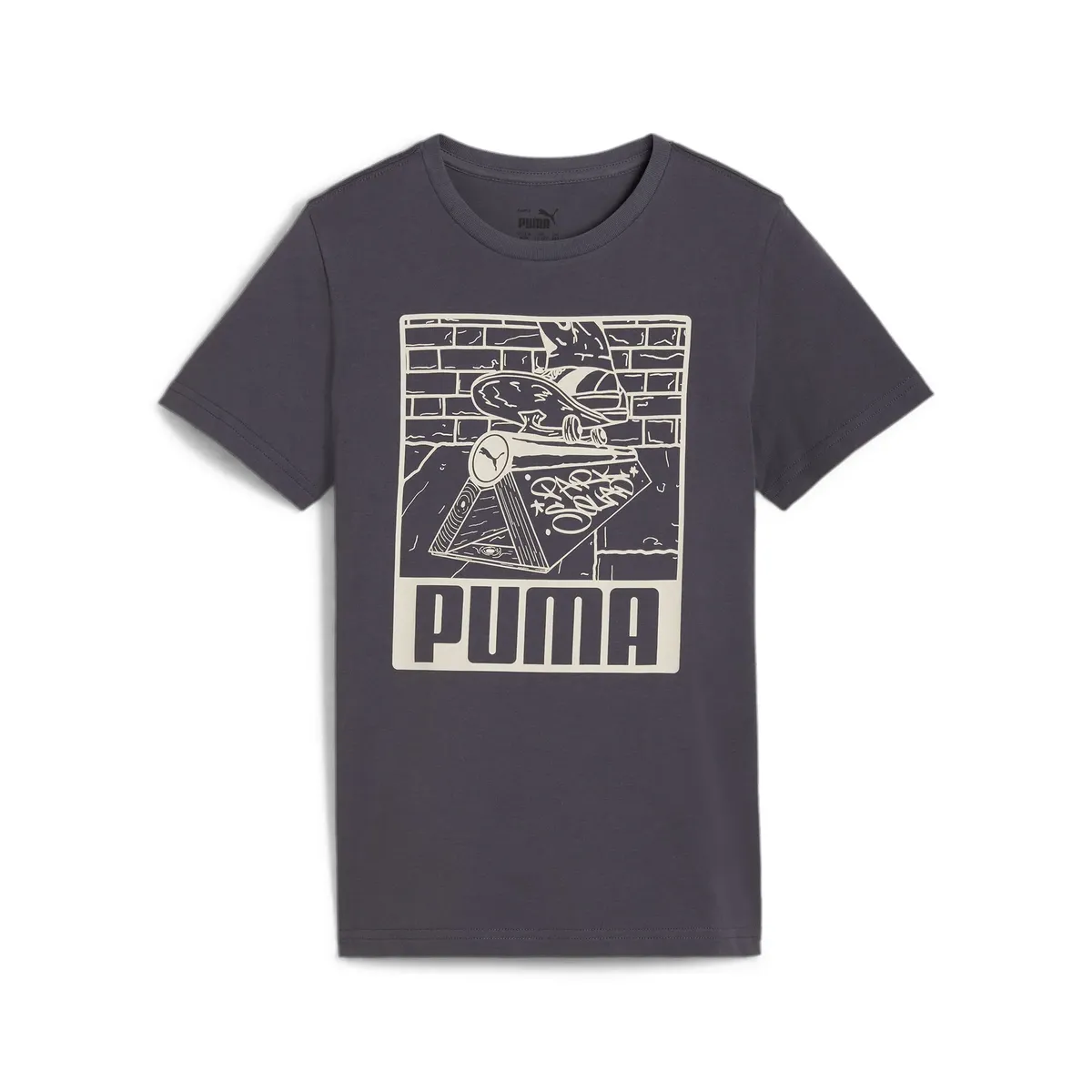 

ФУТБОЛКА PUMA "ESS+ MID 90S GRAPHIC TEE B", серый