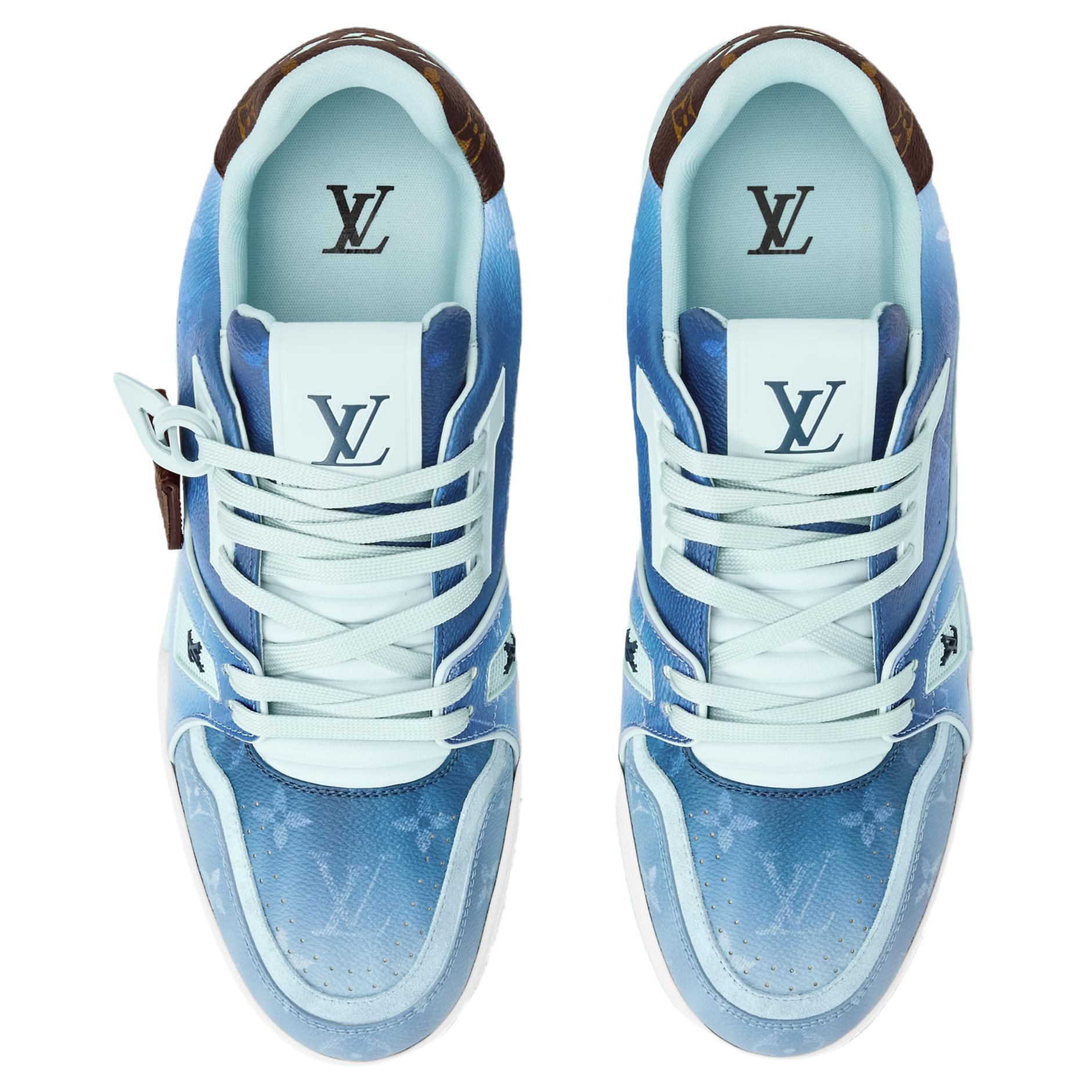 LOUIS VUITTON Кроссовки низкие Skateboard Shoes Unisex Sea Blue — фото 4