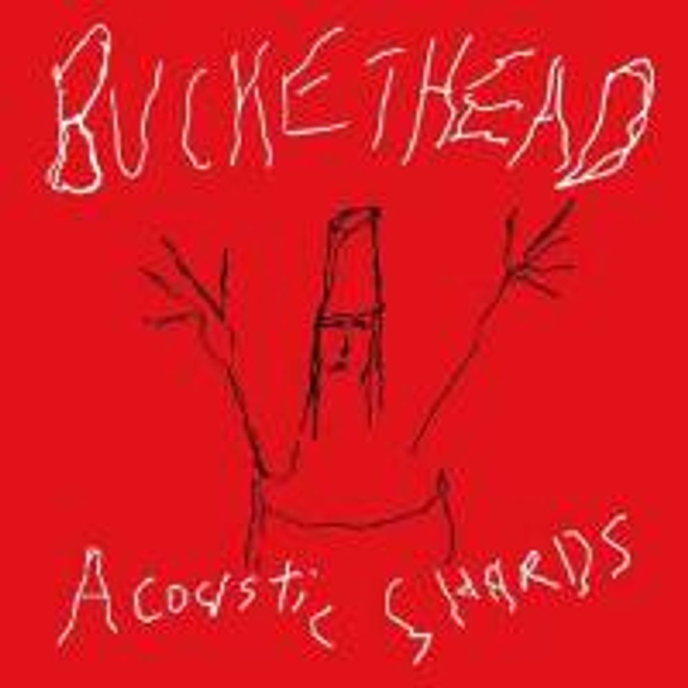 

Диск CD Acoustic Shards - Buckethead