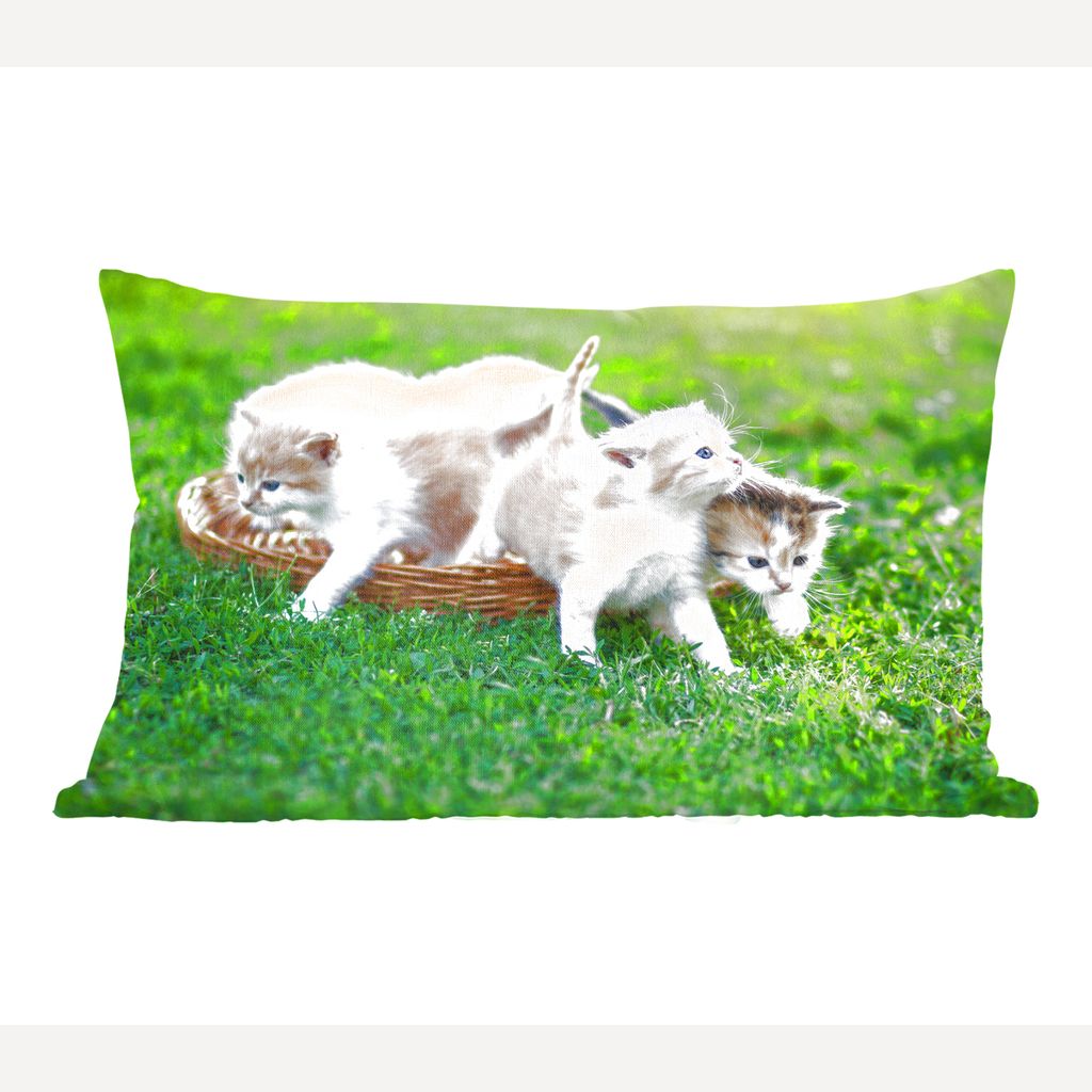 

MuchoWow Cats - Котята в саду - 60x40 см - Чехлы на подушки - Декоративные чехлы на подушки - Декоративные чехлы на подушки