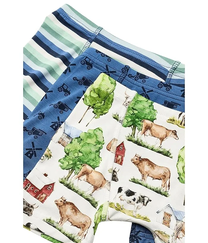 Боксеры набор из 3 Print Boxer Brief Set Kickee Pants Kids, Denim Stripe/Denim/Dove Dino Museum — фото 3