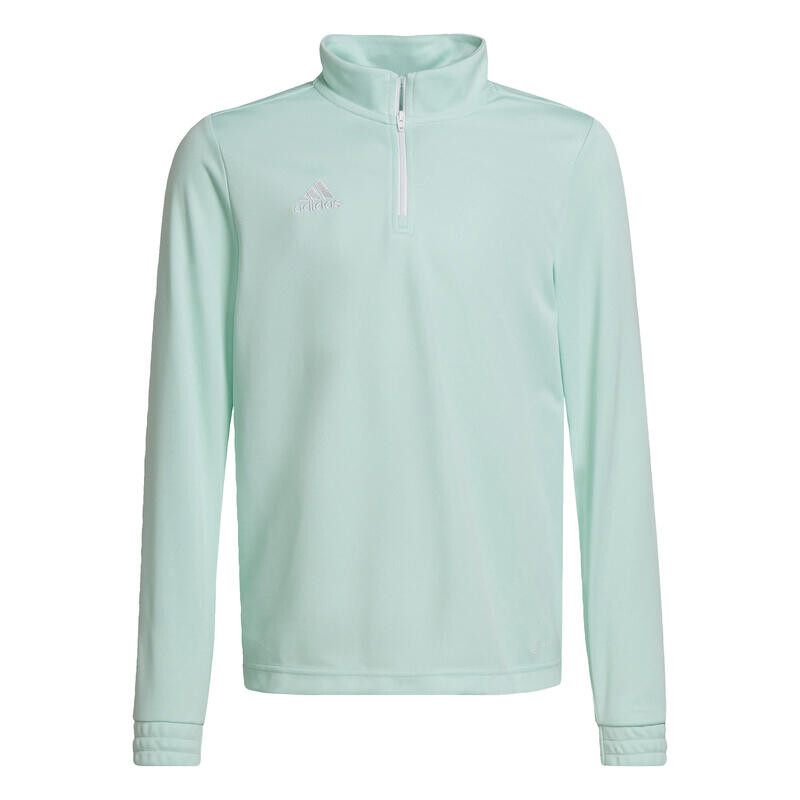 

Спортивная толстовка Adidas, цвет aquamaringrün