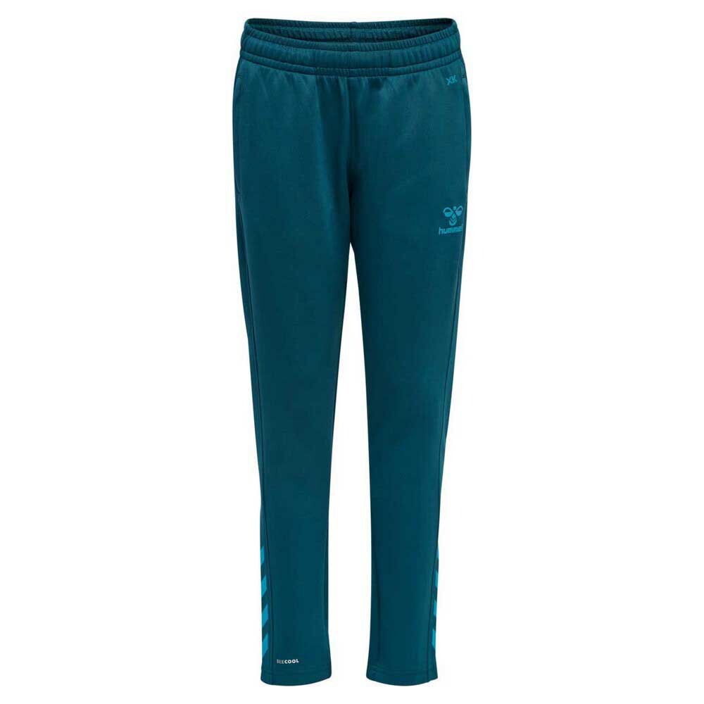 

Брюки Hummel Core XK Poly, синий