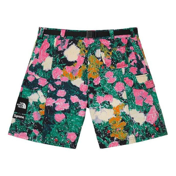 

Шорты ss22 week 16 x the north face trekking packable belted short Supreme, мультиколор