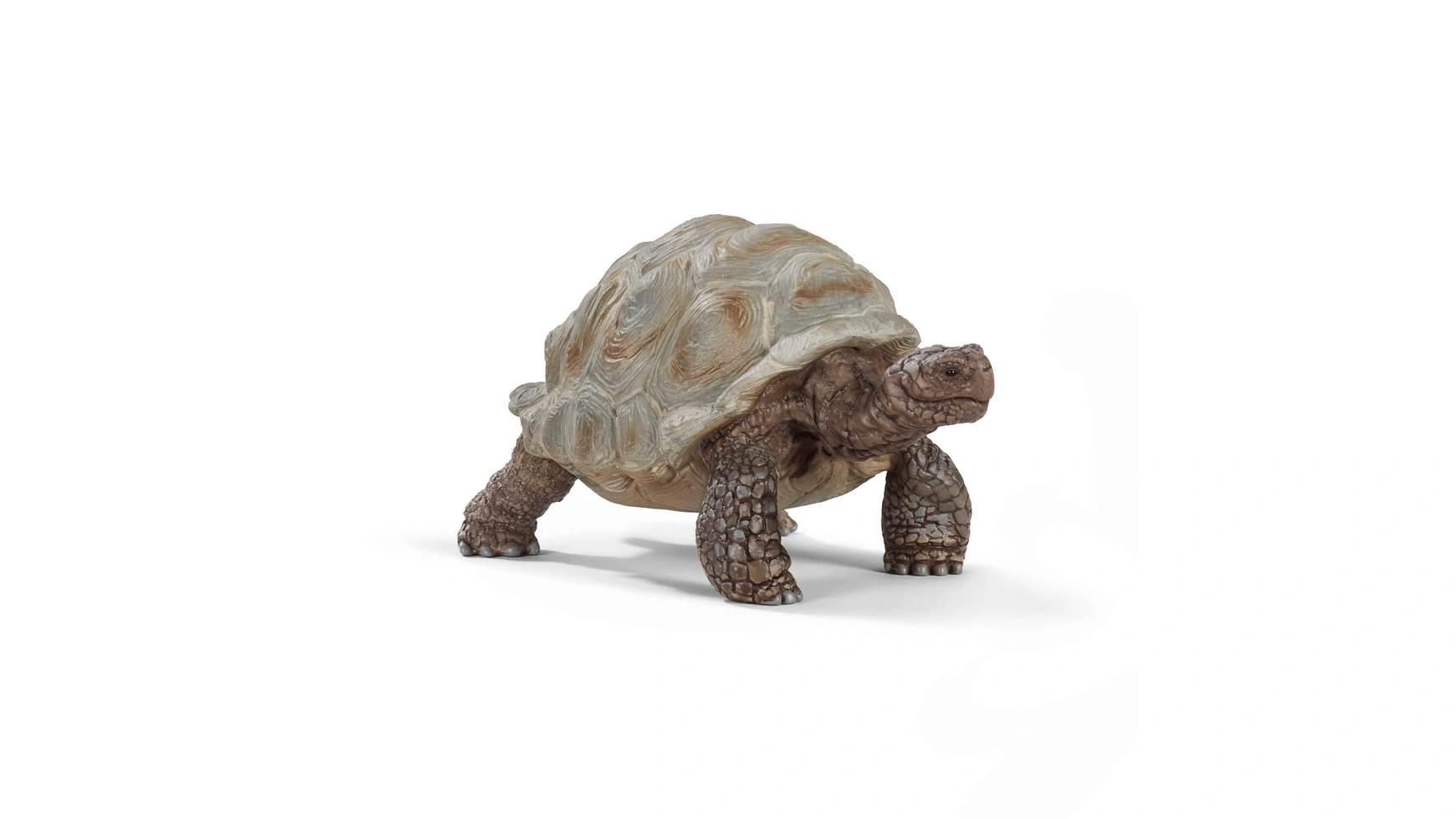 

Schleich Дикая жизнь Гигантская черепаха