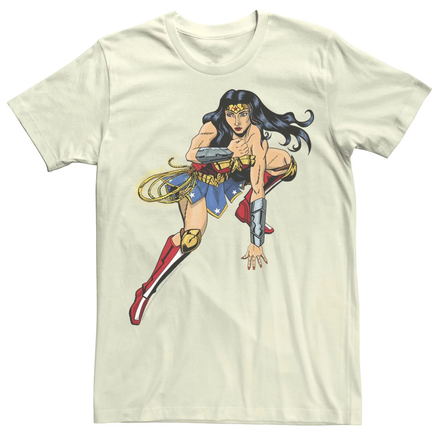 

Мужская футболка DC Fandome Wonder Woman Action Shot Licensed Character